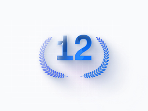 Более 12 лет опыта работы